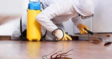 Fumigation-and-Pest-Control_34