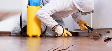 Fumigation-and-Pest-Control_34