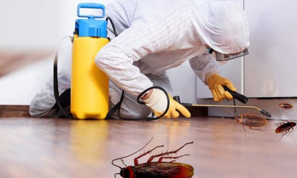 Fumigation-and-Pest-Control_34